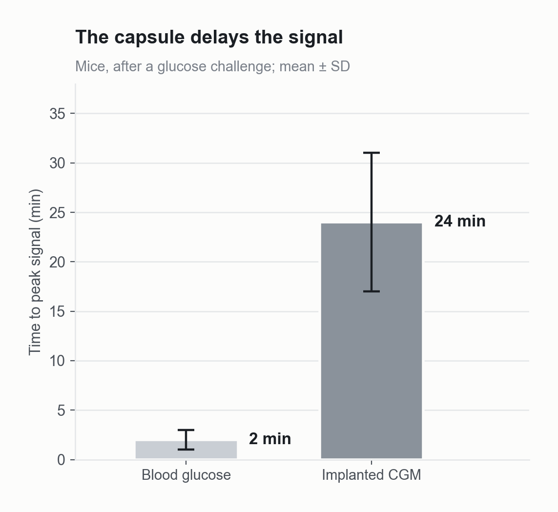 Bar chart of time to peak signal in mice after a glucose challenge: about 2 minutes for blood glucose and 24 minutes for an implanted continuous glucose monitor.