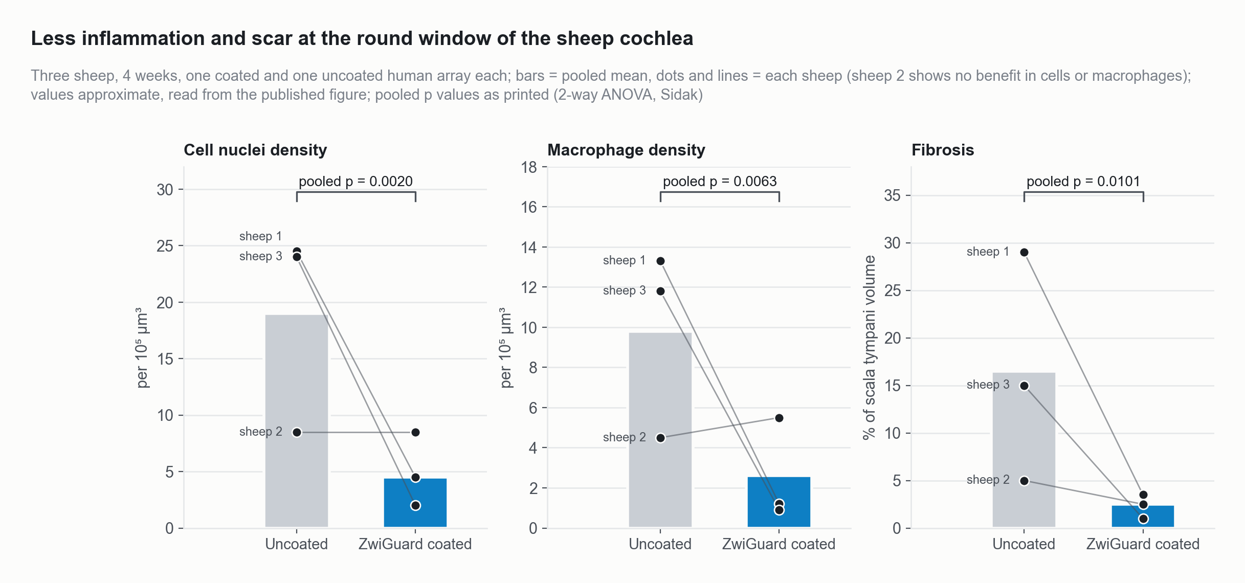 Three panels for sheep at four weeks: cell nuclei density, macrophage density and fibrosis at the round window, uncoated versus coated, with one line per sheep joining its uncoated and coated values. Pooled across three sheep, coated arrays had fewer nuclei, fewer macrophages and less fibrosis. One sheep showed no difference in cells or macrophages.