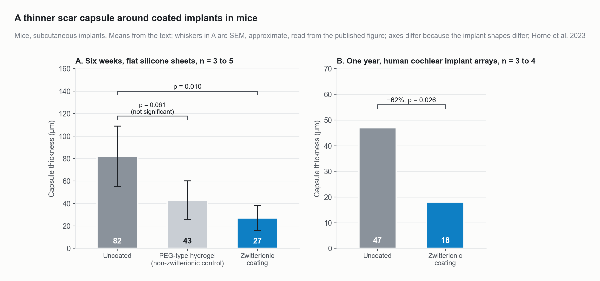 Capsule thickness in mice. At six weeks on flat silicone the zwitterionic coating gave a capsule 67 percent thinner than uncoated, while a non-zwitterionic hydrogel control did not differ significantly. At one year on human cochlear implant arrays the coated capsule was 62 percent thinner.