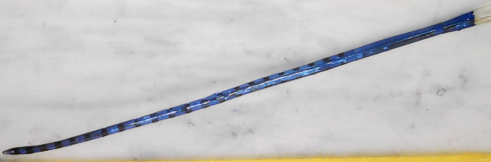 A cochlear implant array coated with the blue-dyed hydrogel