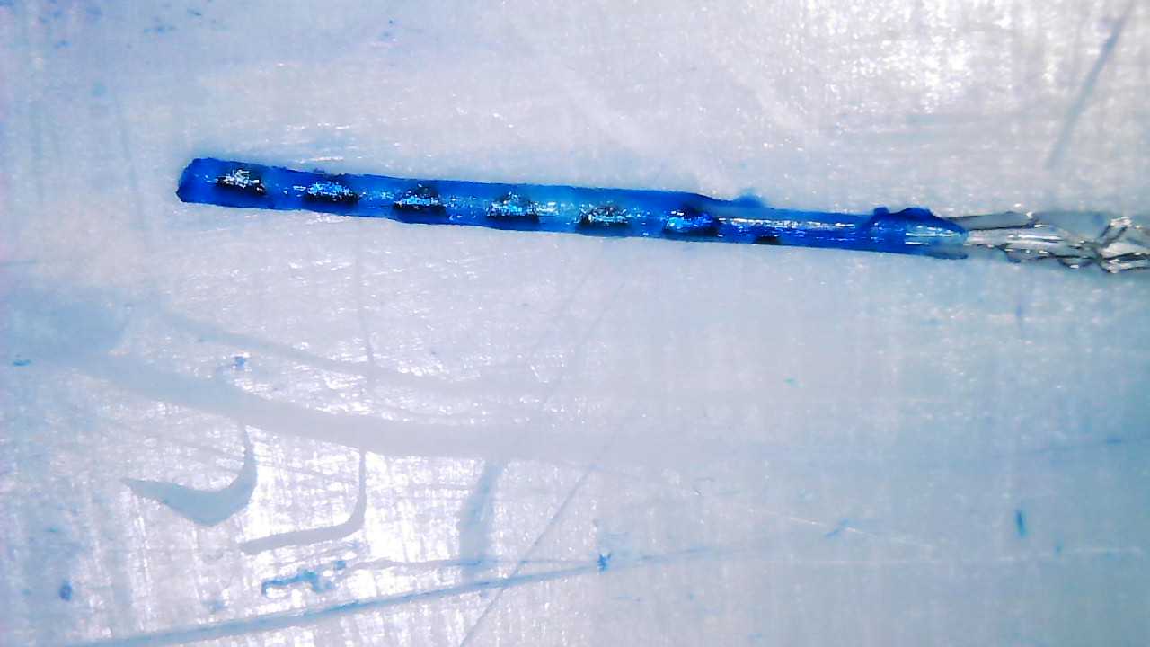 A cochlear implant electrode array coated in blue hydrogel, with the electrode contacts visible through the coating.
