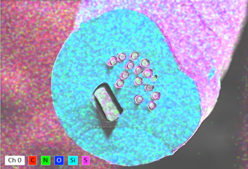 Cross-section of a coated cochlear implant array imaged by elemental mapping. The silicone carrier is a round cyan disc holding a ring of small electrode wires and one larger rectangular insert. The hydrogel film is the thin pink and violet layer around the silicone.